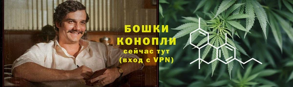 СК Михайловск
