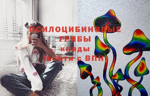 бутират Михайловка