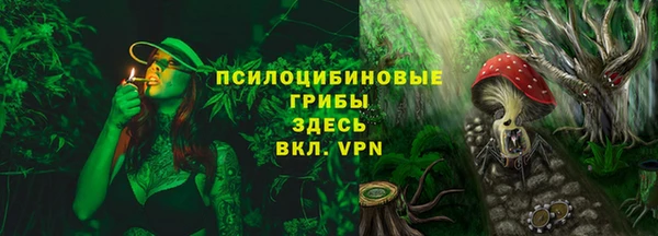 ECSTASY Медвежьегорск