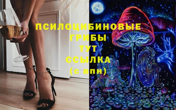 спиды Мегион