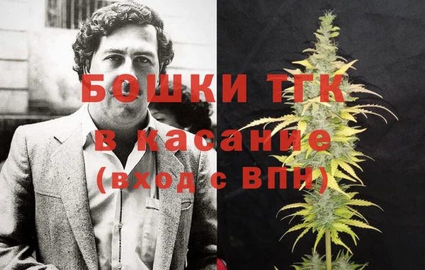 соль ск Михайлов