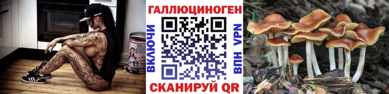 закладки  Солигалич  Галлюциногенные грибы Psilocybe 